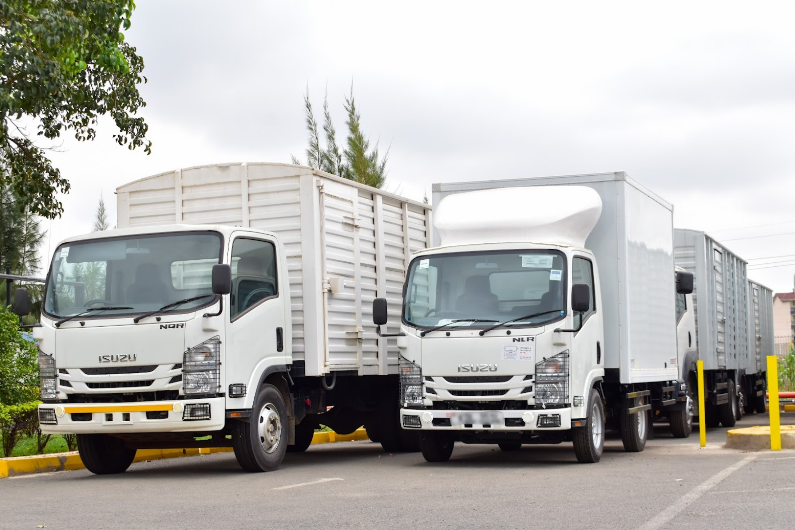 Motor Vehicle isuzu n series ryce